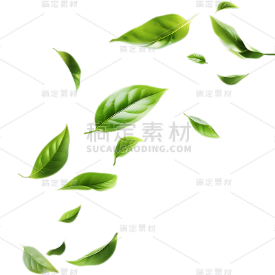 植物通用实景绿色动态落叶元素素材