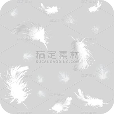 装饰通用实景羽毛组合元素素材