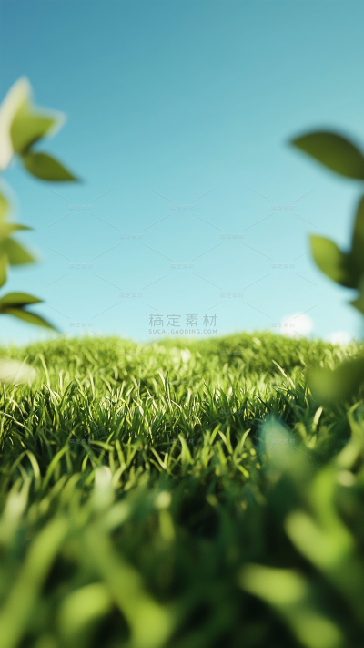 植物系列唯美感树林光感背景