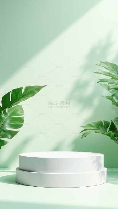 背景系列简约风墙面绿植光影背景