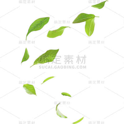 植物通用实景绿色动态落叶元素素材