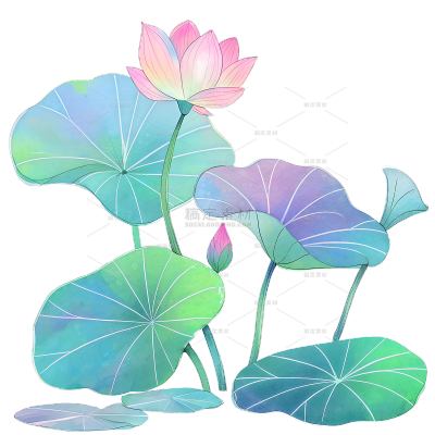 植物系列插画风炫彩色荷花荷叶元素