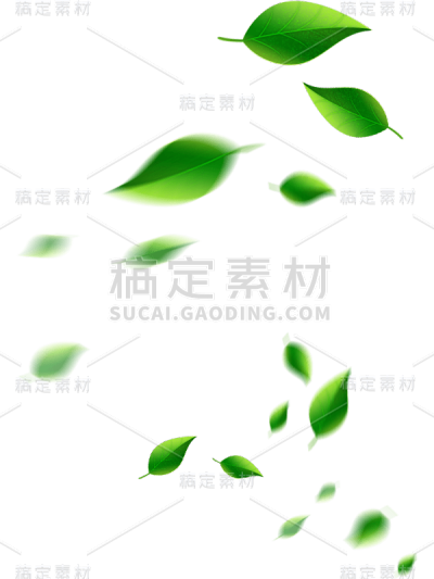 绿色落叶树叶绿叶贴纸