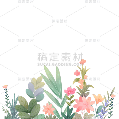 清新插画植物花朵花卉边框