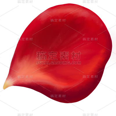 红色玫瑰花花瓣