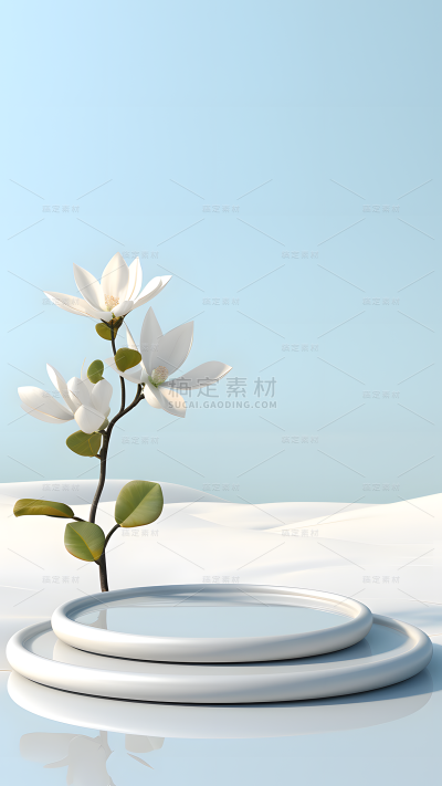 通用电商白色系花卉展台场景背景
