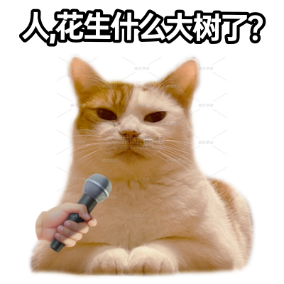 恶搞抽象猫meme为我发声谐音梗搞笑文字贴纸AIGC