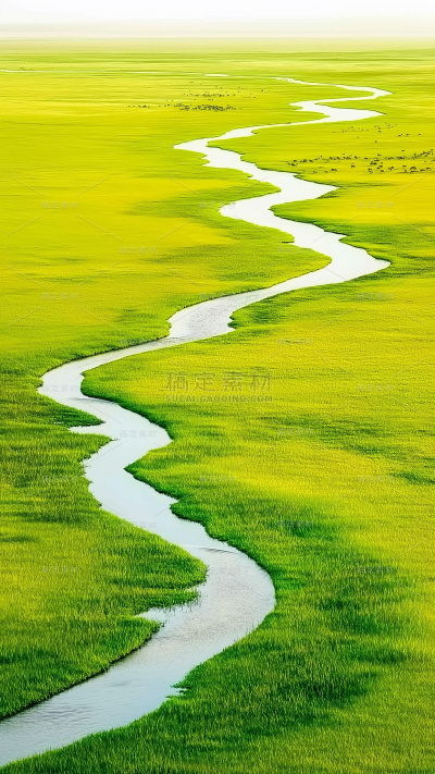 常规系列通用实景湿地景观图背景素材
