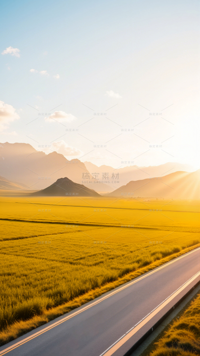秋天实景光影感麦田公路背景