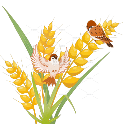 芒种清新感小麦麻雀插画元素