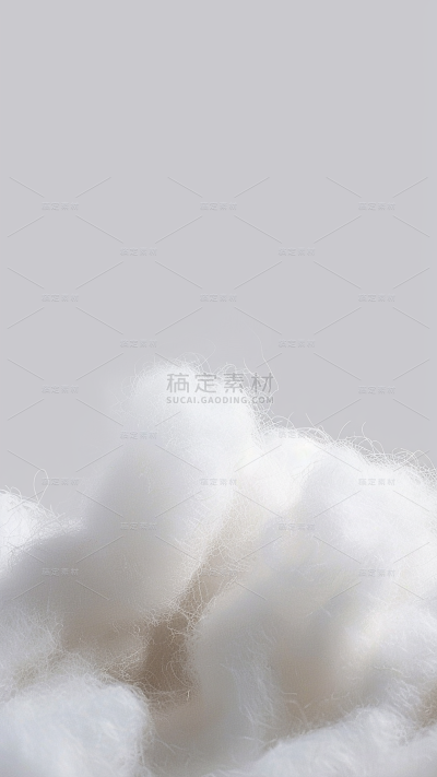 植物实景白色棉絮背景场景图片素材