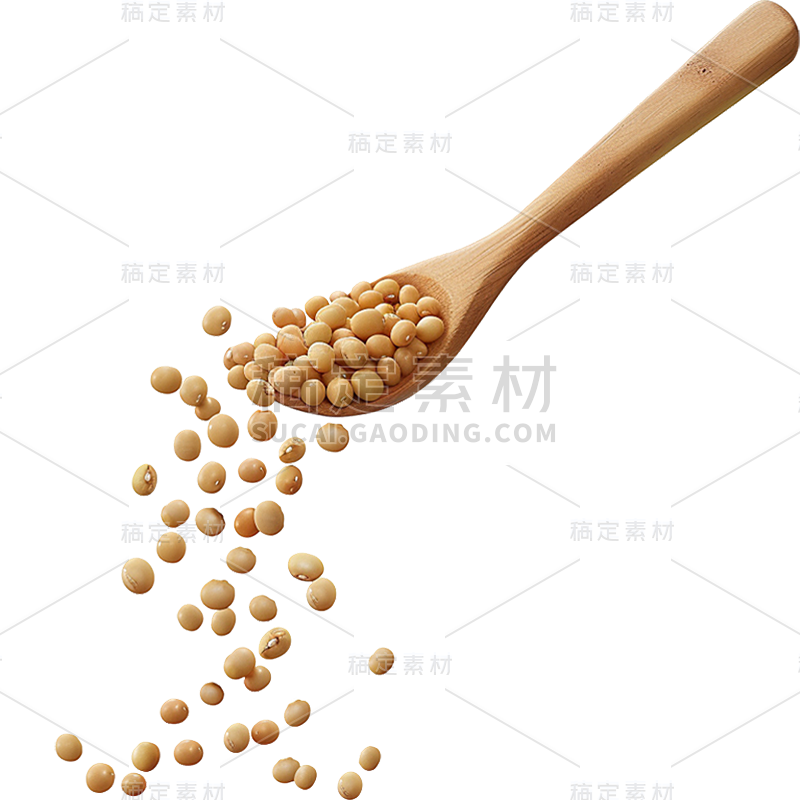 常规通用实景黄豆元素