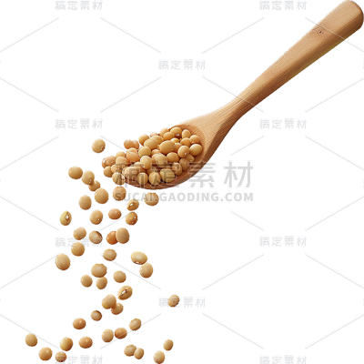 常规通用实景黄豆元素