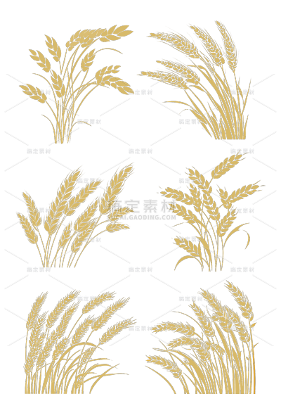 植物通用金色矢量麦穗元素素材