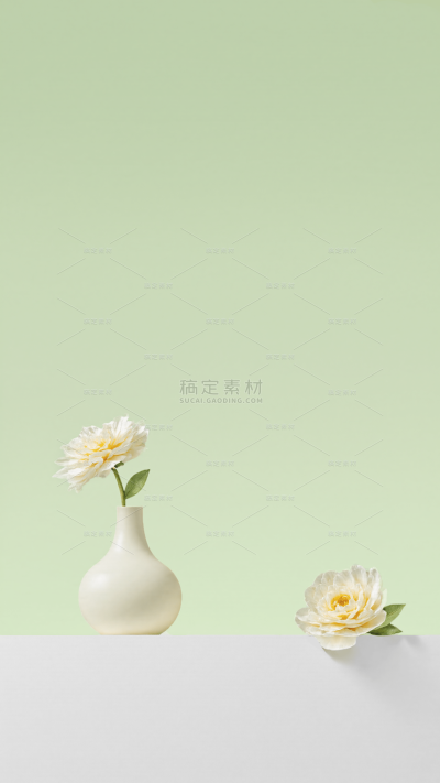 植物系列清新感山茶花光影展台