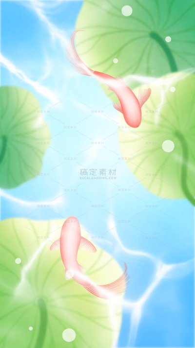 夏至弥散渐变光感荷花荷叶蜻蜓锦鲤背景