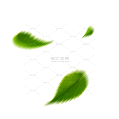 植物系列插画坠落模糊的叶子