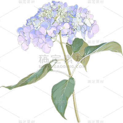 植物通用清新插画花朵元素素材