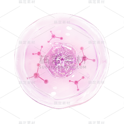 气泡泡泡产品成分分子