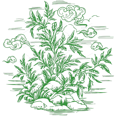 植物系列古风茶叶包装山水线描元素