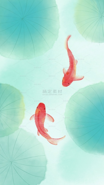 夏至国风水彩荷花荷叶锦鲤背景
