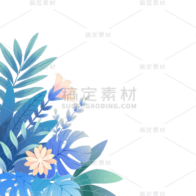 清新插画植物花朵花卉边框