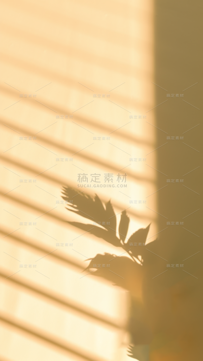 通用自然树叶叶子柔和光影背景