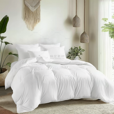 insMind Indoor Background Home