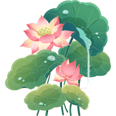 植物系列金色描边插画荷花荷叶元素贴纸