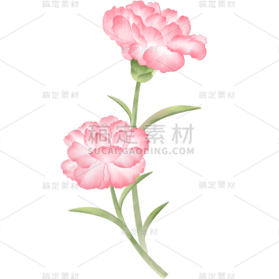 母亲节康乃馨花朵插画贴纸