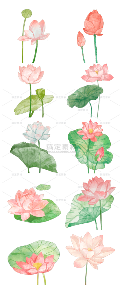 2309SC-素材组合-水彩荷花花卉常规贴纸