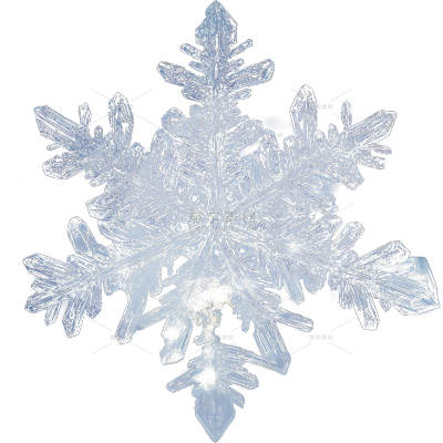 冬天冬季冬日节气写实冰晶雪花元素素材