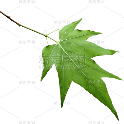 通用绿色树叶植物叶子元素贴纸
