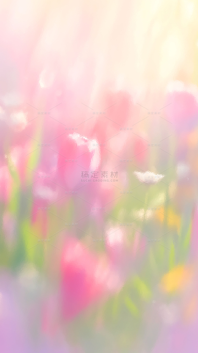 春天抽象模糊郁金香花丛背景
