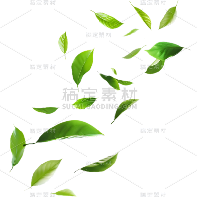 植物通用实景绿色动态落叶元素素材