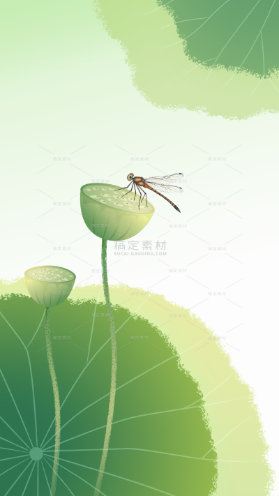 清新感渐变荷叶莲蓬蜻蜓蝉竹叶背景
