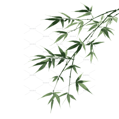 植物系列水墨风垂坠竹子竹叶