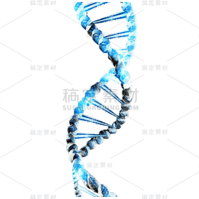 3D基因系列彩色染色体贴纸