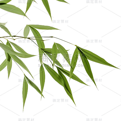 绿色树叶静态贴纸