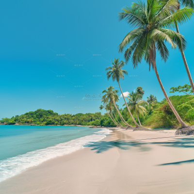 insMind Summer Background Tropical Sand Beach Palm Trees