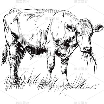 常规系列插画牛通用元素素材