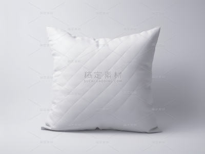 通用抱枕枕头靠垫样机
