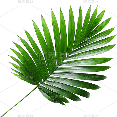 通用绿色植物叶子树叶装饰元素