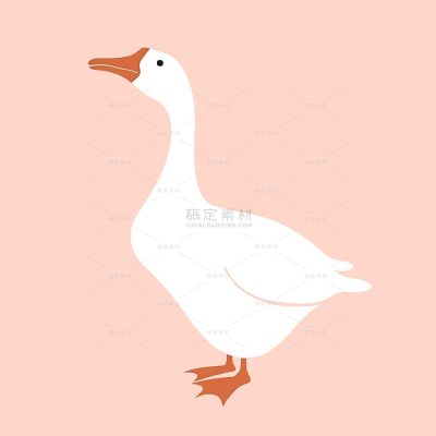 动物系列卡通风白鹅插画元素（td)