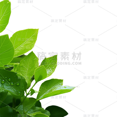 通用绿色树叶植物叶子元素贴纸