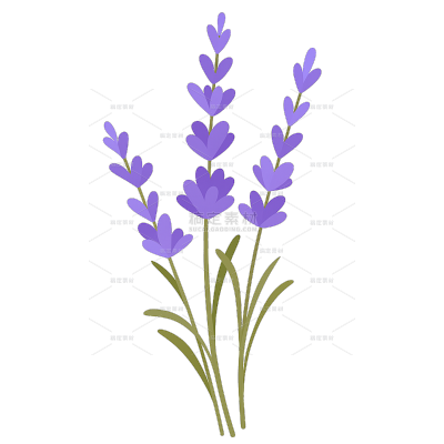 植物系列扁平风薰衣草插画元素（td）