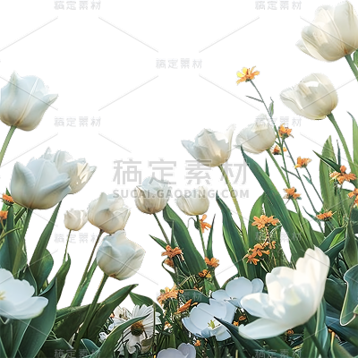 植物通用实景花朵边框元素素材