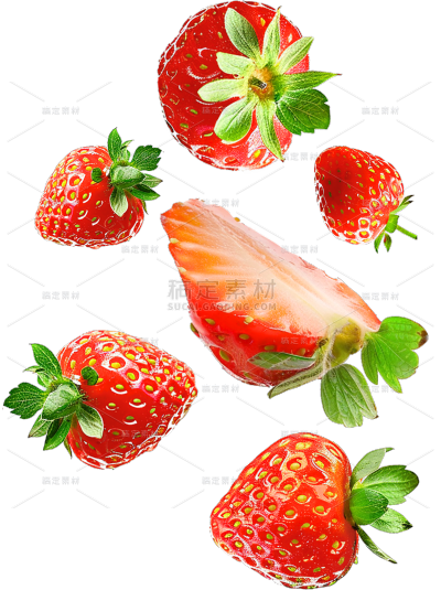 夏季果蔬插画多切件掉落草莓通用元素素材