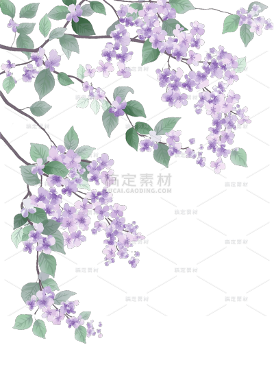 植物系列插画风花朵+花枝下垂元素