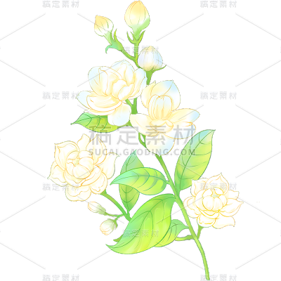 植物通用清新插画花朵元素素材
